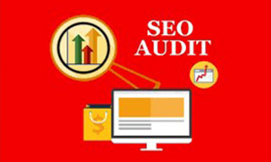 seo audit logo